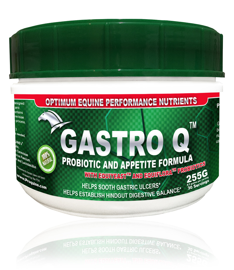 Proquine horse supplements nutrients for healthy horses PROQUINE